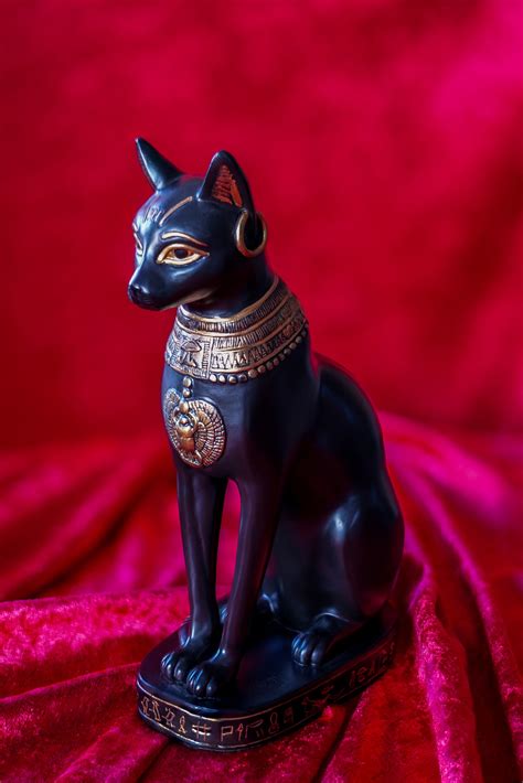 Cat Worship in Pwganz Civilization: A Historical Perspective